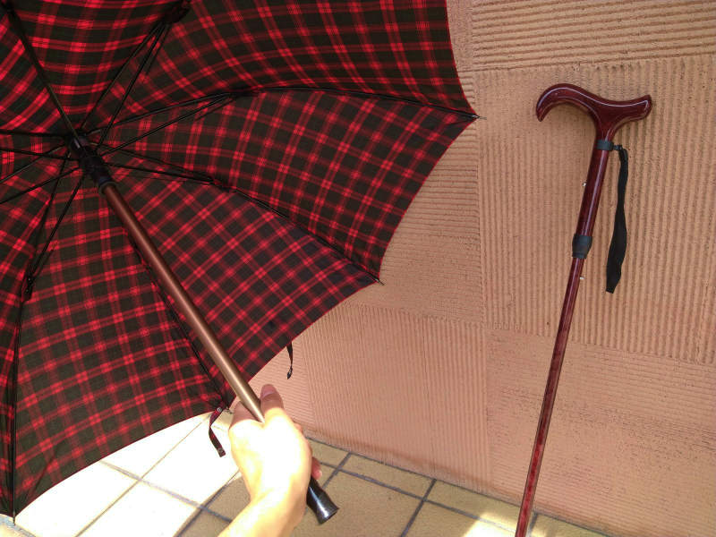 杖型傘