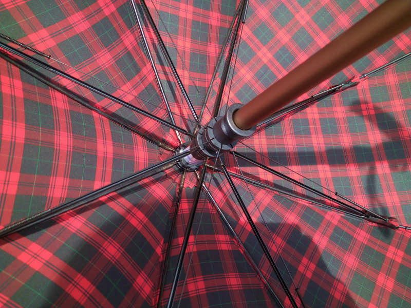杖型傘